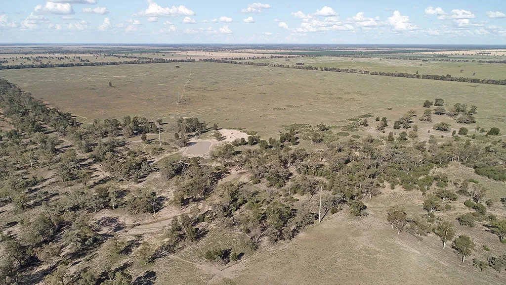 Gunsynd site near Goondiwindi from the air: grassland and scattered trees around a farm dam